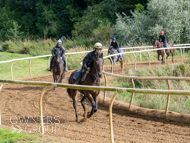 EL120925-19 - Emma Lavelle Stable Visit
